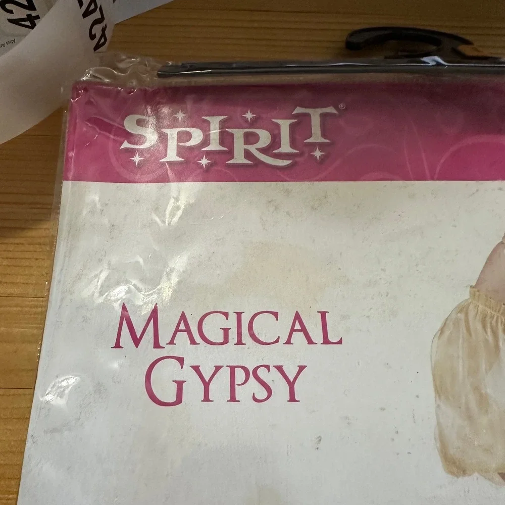 Spirit Halloween Magical Gypsy Adult Costume Small 4-6 Dress Bandana boho - Picture 2 of 5